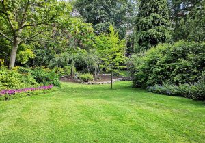Optimiser l'expérience du jardin à La Chapelle-du-Mont-de-France